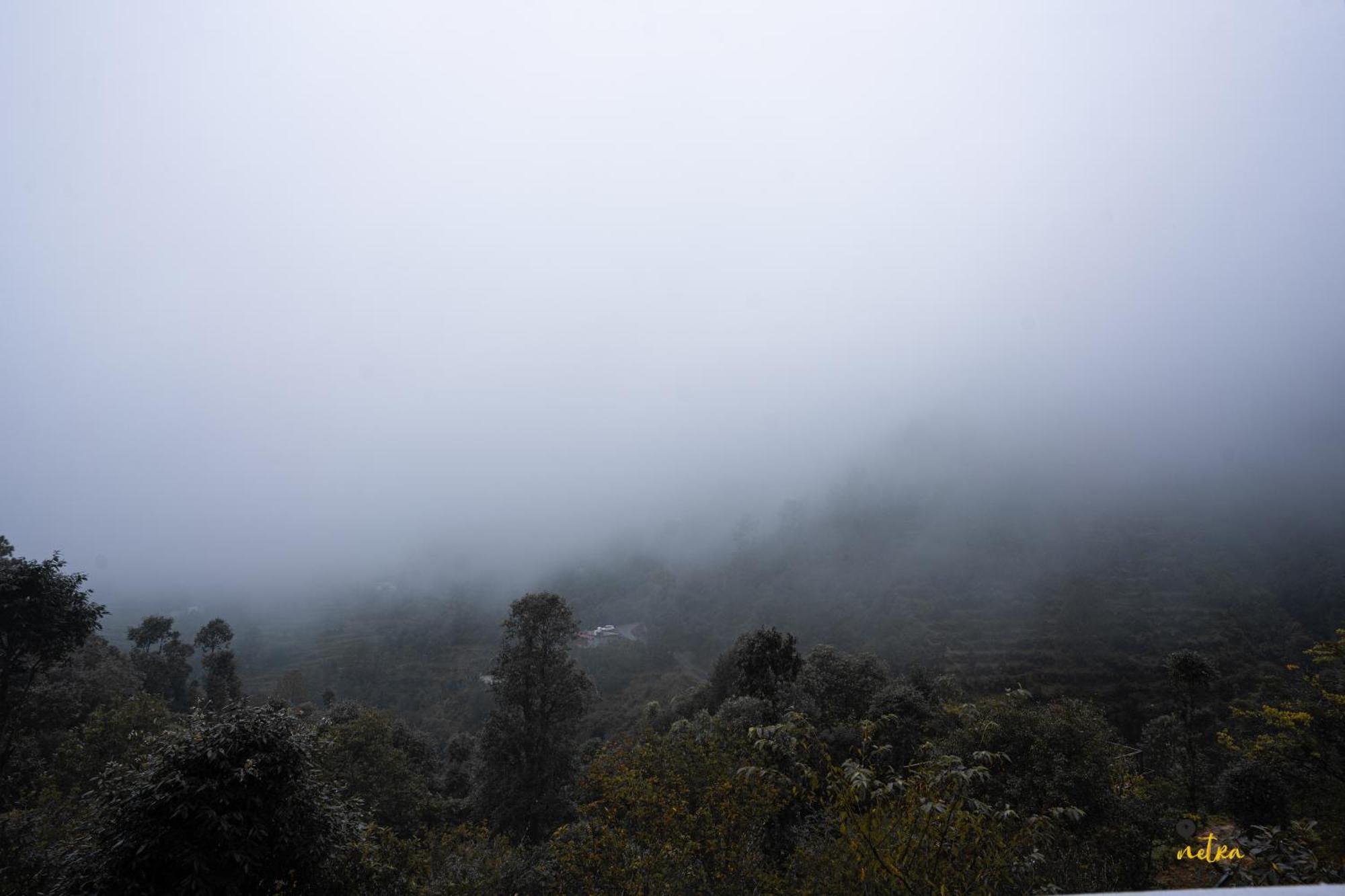 The Rare One'S Mukteshwar - Resort & Cafe エクステリア 写真