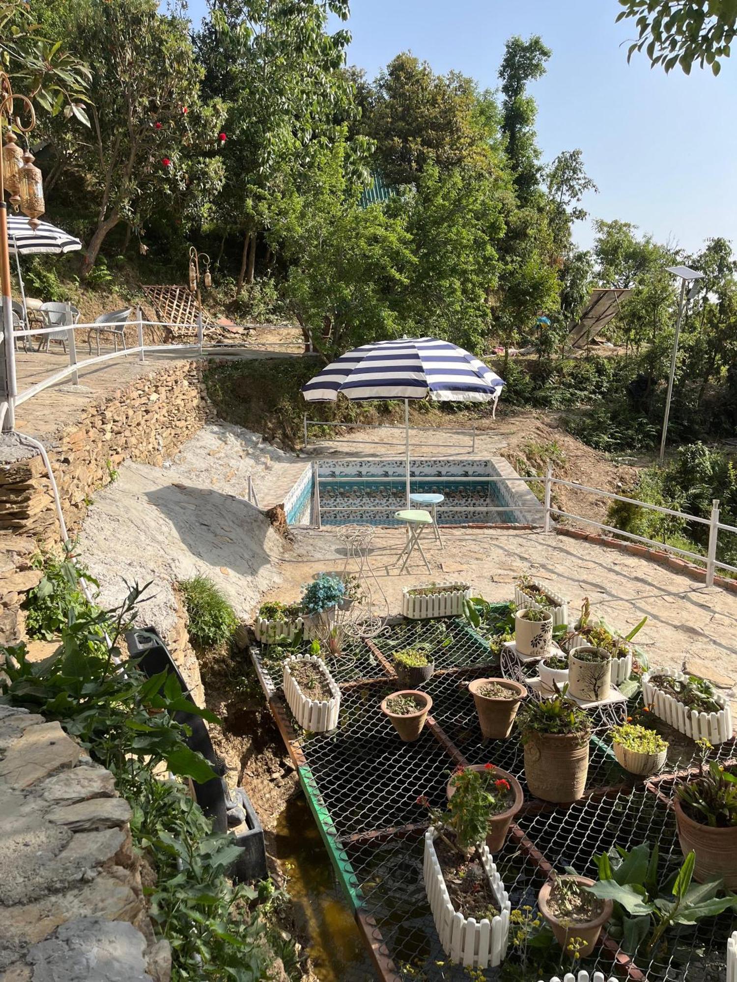 The Rare One'S Mukteshwar - Resort & Cafe エクステリア 写真